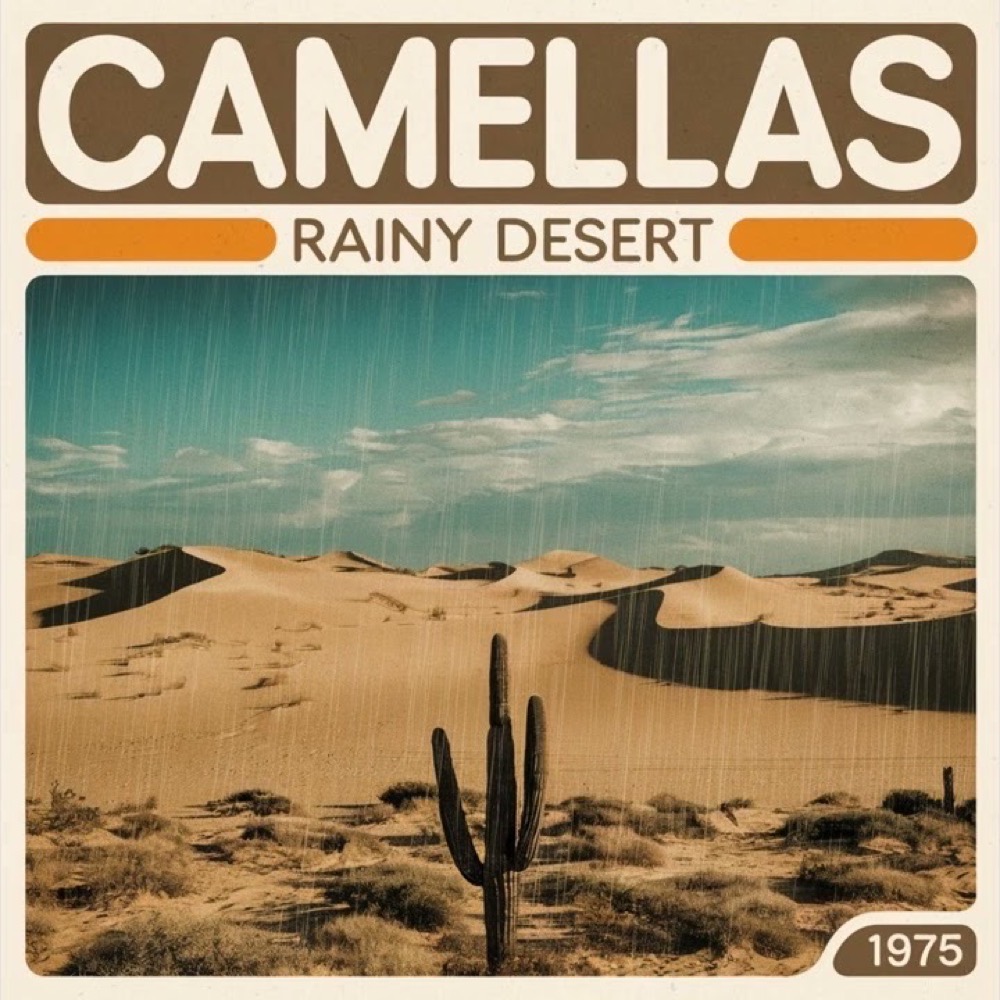 Rainy Desert — Camellas